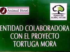 Cartel Proyecto Tortuga